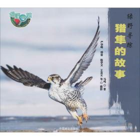 猎隼的故事 马鸣 9787521902600 中国林业出版社