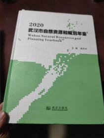 2020武汉自然资源和规划年鉴