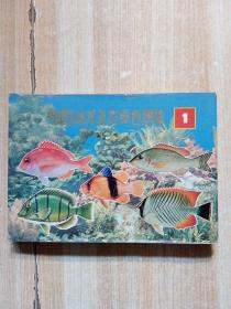 中国海洋鱼类原色图集(1)：Atlas of the sea fishes of China in live colour Volume 1
