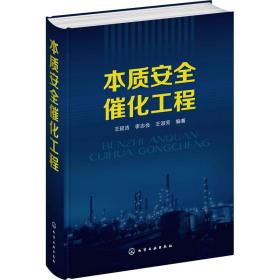 【正版新书】 本质安全催化工程 王延吉 化学工业出版社