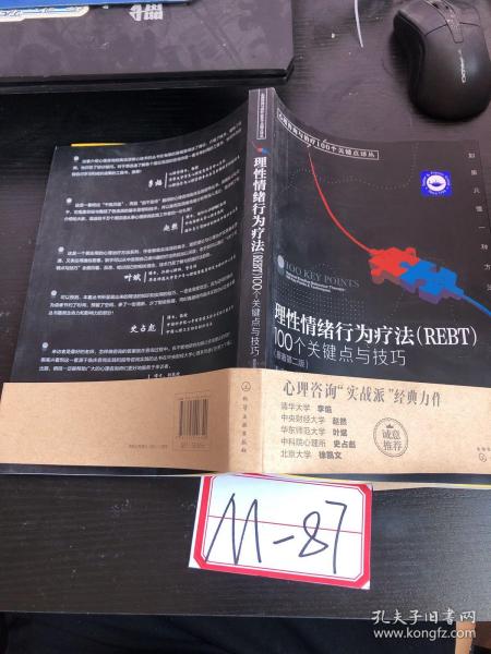 理性情绪行为疗法 rebt100个关键点与技巧（原著第2版）于泳红、魏清照 译