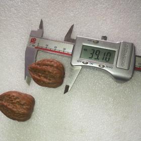 正在变红的东北秋子23（应该是一棵树的，配对儿算是精品）