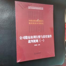 公司股东权利行使与责任案件裁判规则（一）未开封