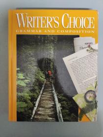WRITER'S CHOICE  glencoe 10（作家的选择  格伦科 10）