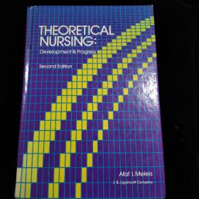 theoretical nursing 理论的护理