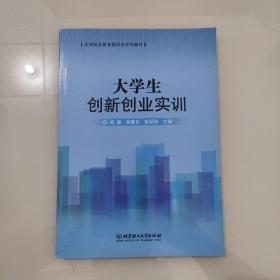 大学生创新创业实训/高等职业教育“十三五”规划新形态教材