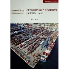 中国民营企业海外投资指数年度报告(2020)（学术近知丛书—经济管理系列） 管理理论 薛军