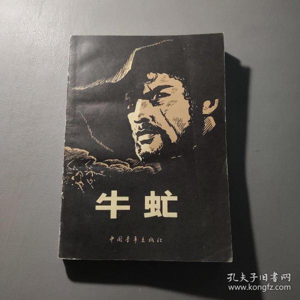 小说书籍：牛虻 共1册售 书架墙 叁 010作者：（爱尔兰）艾·丽·伏尼契著出