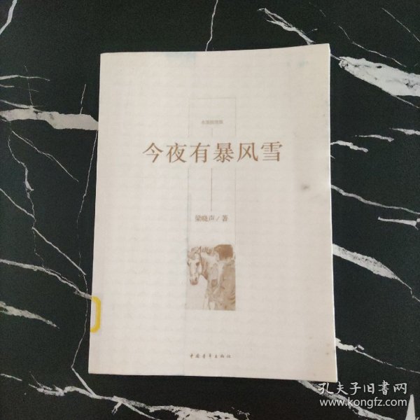 今夜有暴风雪正版现货 内页干净 无划线 无字迹梁晓声 著；王燕民 绘/ 中国