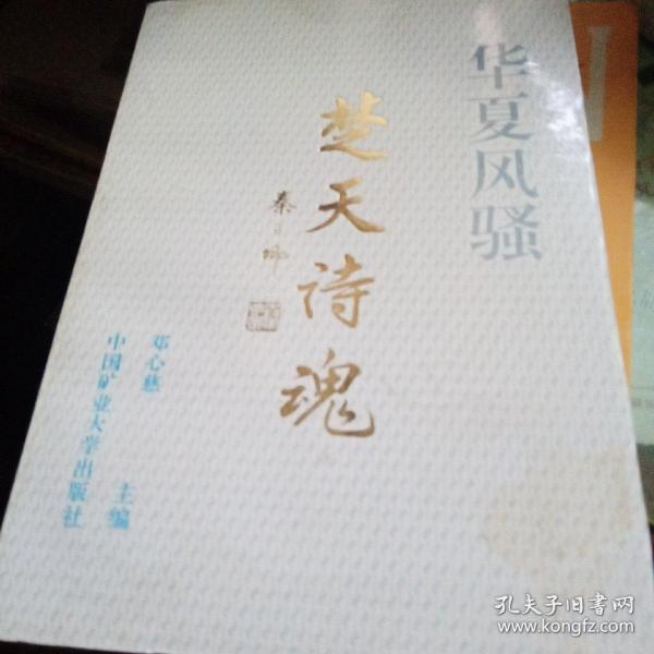 诗什么什么家成语_成语故事简笔画(2)