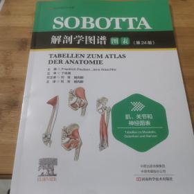 Sobotta 解剖学图谱.肌、关节和神经图表《第24版》
