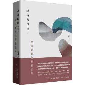 正版 辽远的国土:中国新诗的诗性空间 吴晓东 9787224148497
