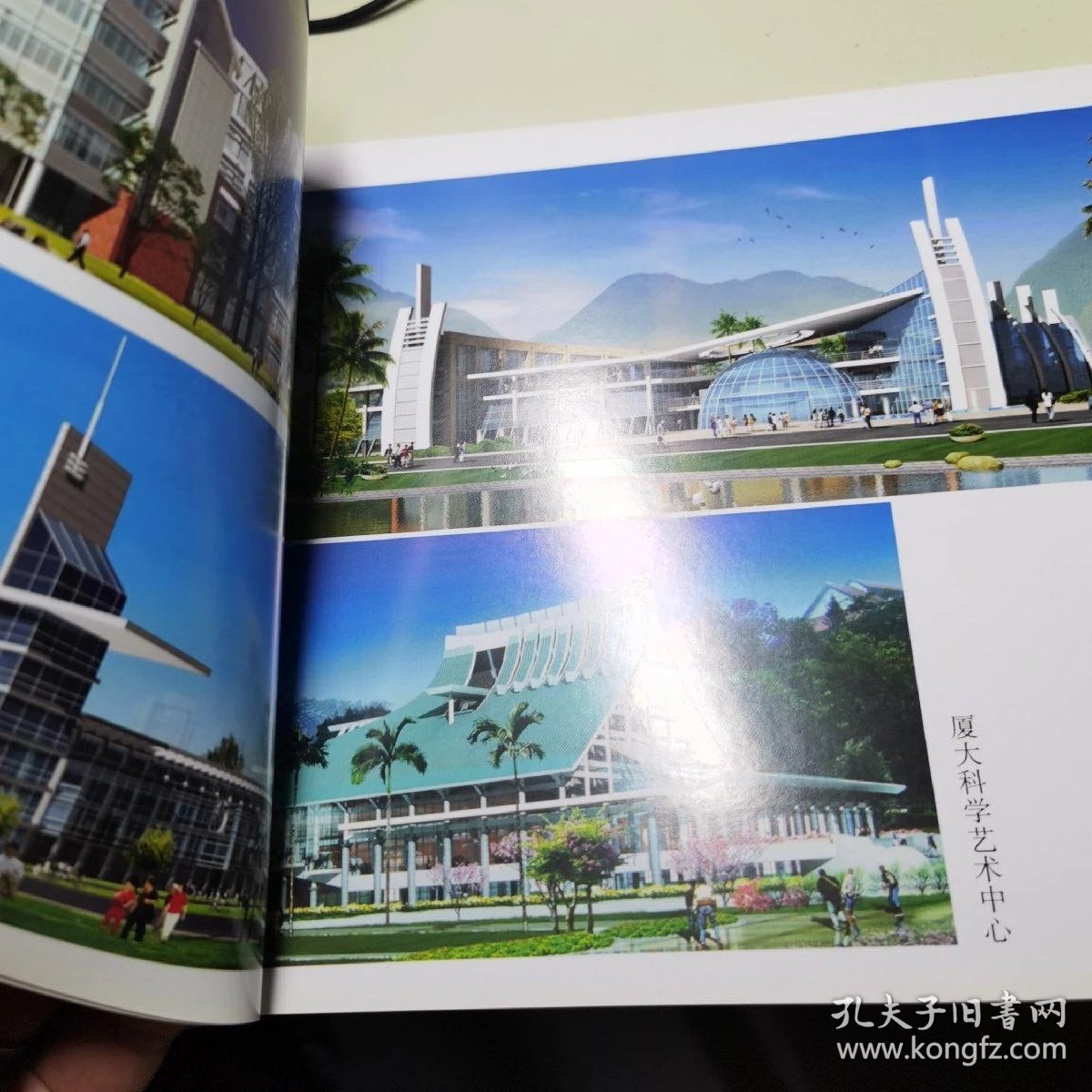 城市规划设计：城市绿肺与呼吸的进化