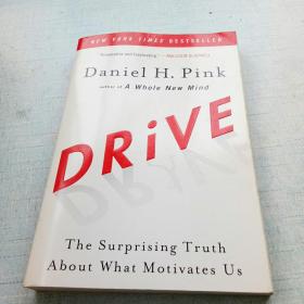 Drive: The Surprising Truth about What Motivates Us [外文----12]