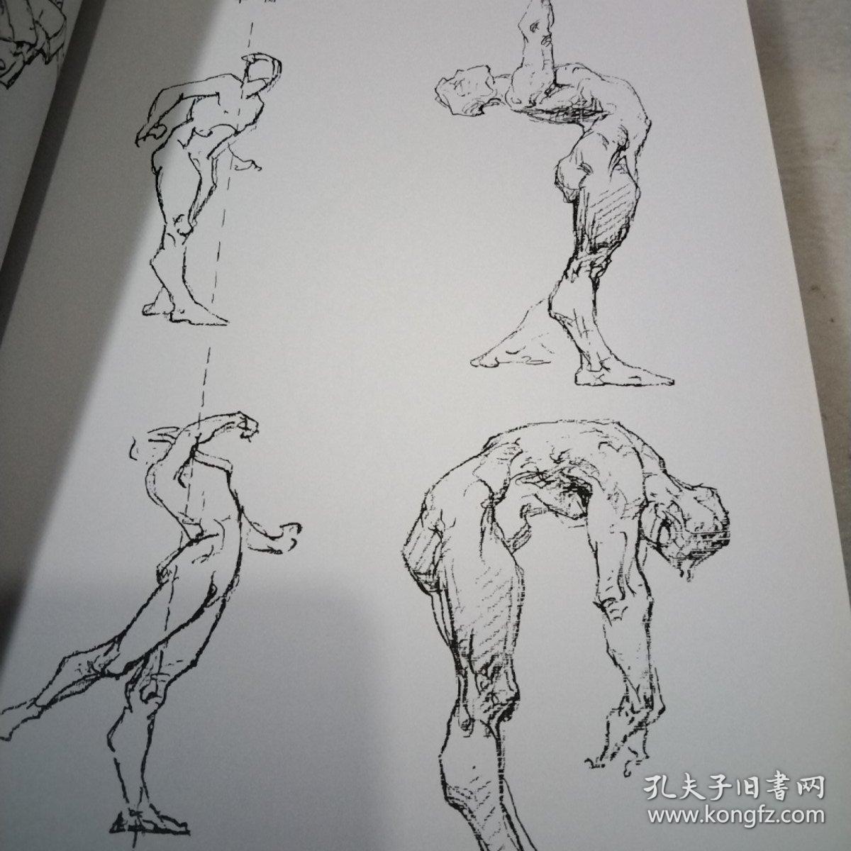 最新版伯里曼人体结构绘画教学