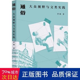 通俗:大众视野与文类实践 中国现当代文学理论 罗萌