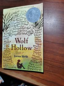 英文狼洞之夜 Wolf Hollow 2018年纽伯瑞银奖 儿童文学小说 英语读物