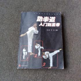 公共体育专业化运动丛书：跆拳道入门到黑带