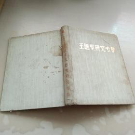 王愿坚研究专集