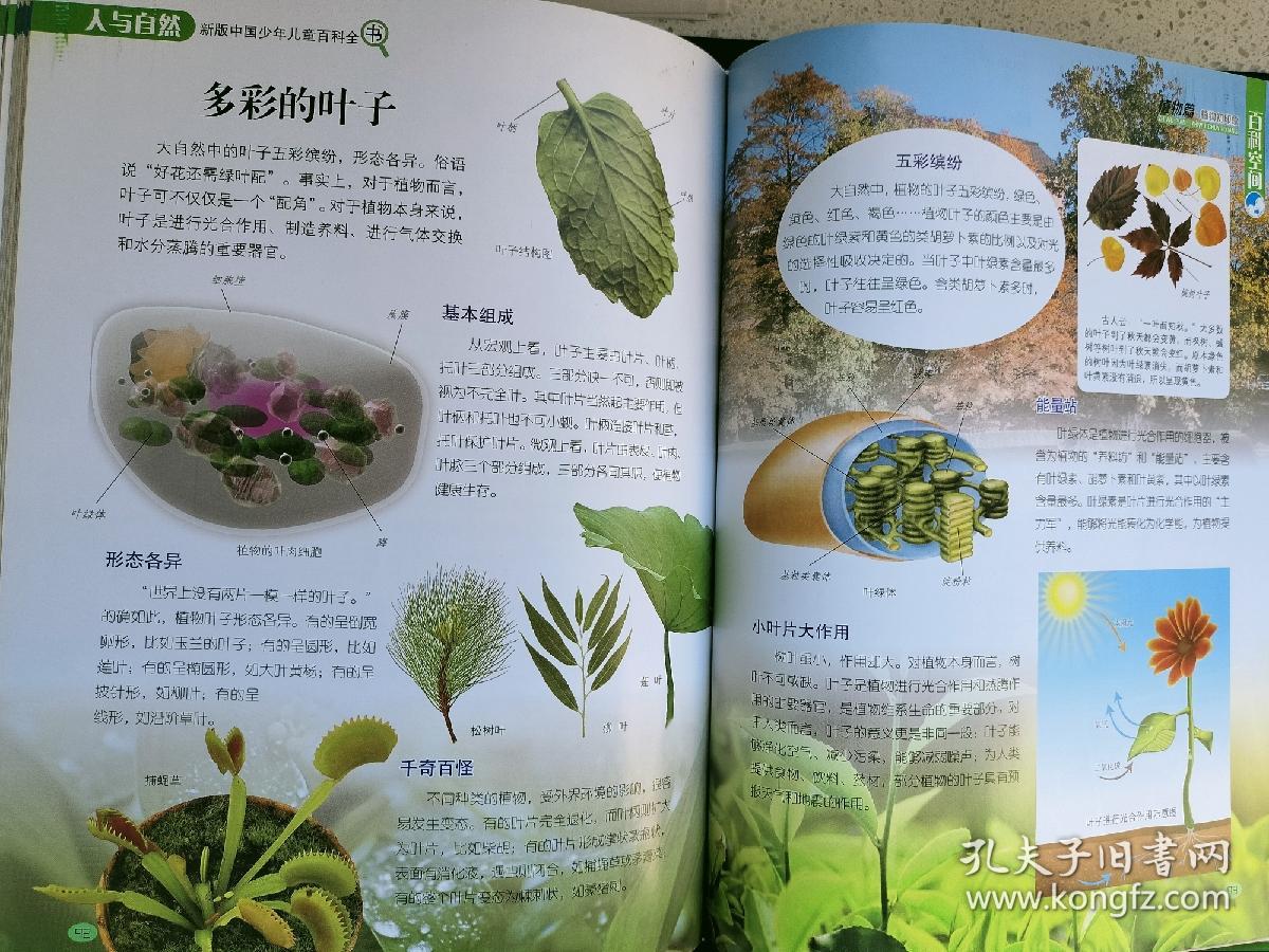 江门恩平市自然资源局华体会体育官方网站（HTH Sports）