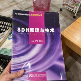 SDH原理与技术