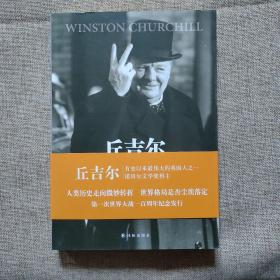 世界大战丛书·丘吉尔第一次世界大战回忆录5：世界危机战后