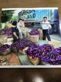 第四届“影像中国”作品参赛照片：湖南省长沙市罗雄作品《紫色平衡》
