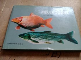中国淡水鱼类原色图集 第一集