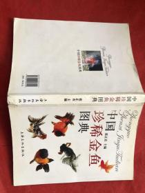 中国珍稀金鱼图典（铜版纸彩印、图文并茂、确保正版） 