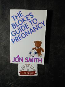 THE BLOKE'S GUIDE TO PREGNANCY