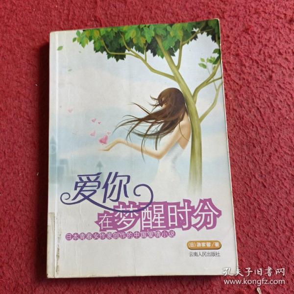 爱你在梦醒时分