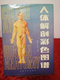 人体解剖彩色图谱（精装）