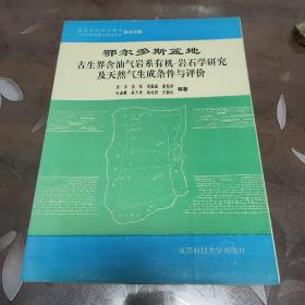 鄂尔多斯盆地古生界含油气岩系有机_岩石学研究及天然气生成条件与评价