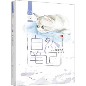 一篮猫故事 儿童文学 桂文亚 新华正版