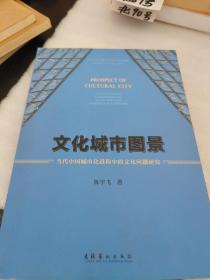 文化城市图景：当代中国城市化进程中的文化问题研究