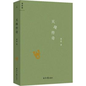 天珠传奇 中国现当代文学 费滢 新华正版