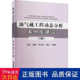 油气藏工程动态分析案例库建设(3册) 能源科学  新华正版