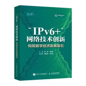 全新正版 “IPv6+”网络技术创新：构筑数字经济发展基石 田辉 李振斌 9787115614490 人民邮电