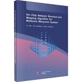 网上多核/众核系统的网络结构和映射算法（英文版）