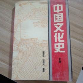 中国文化史  下册