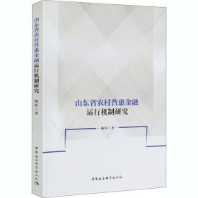 山东省农村普惠金融运行机制研究 财政金融 杨婷 新华正版