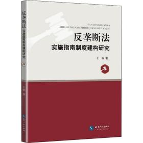 保正版！反垄断法实施指南制度建构研究9787513061315知识产权出版社王炳