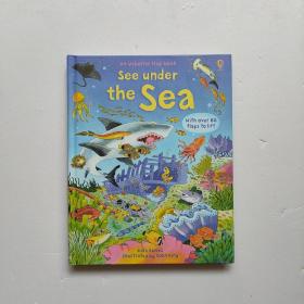 Usborne 原版英文 See Under the Sea 看海底翻翻书 尤斯伯恩立体书早教书