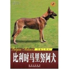 保正版！世界名犬-比利时马里努阿犬9787536946996陕西科学技术出版社王晓