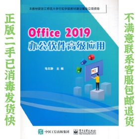 二手正版Office 2019办公软件高级应用 马文静 电子工业出版社