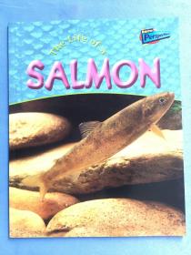 The Life of a Salmon  干净无写划