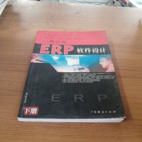 小型企业ERP软件设计（下册）
