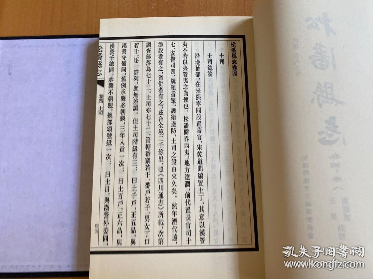 松潘县志民国甲子年版共八卷一函两册线装本