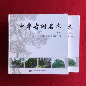 中华古树名木上下册