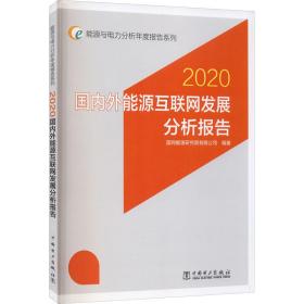 外能源互联网发展分析报告 2020 能源科学